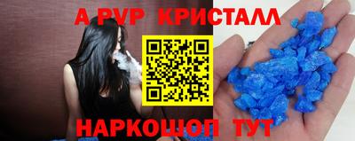 тгк Бердск