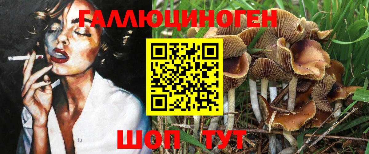 Назрань  Псилоцибиновые грибы GOLDEN TEACHER  Вход с VPN 